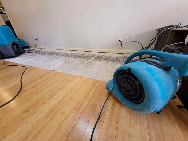Professional Sewage Cleanup technician working in Woronoco, MA